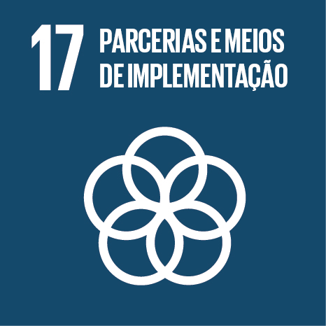 ODS 17 — Parcerias e Meios de Implementação